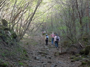 女岩への登山道