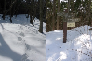 風張峠の手前