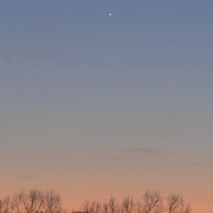 1月18日(日) 17:29 1月18日(日) 17:29